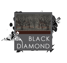 black diamond